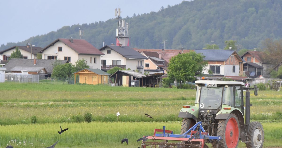 Ne Samo Stanovanja, Tudi Kmetijska Zemljišča V Sloveniji Se Prodajajo ...