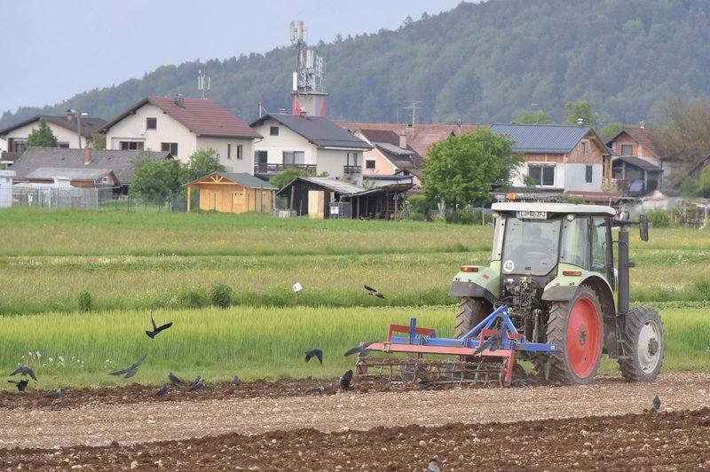 Ne samo stanovanja, tudi kmetijska zemljišča v Sloveniji se prodajajo po vrtoglavi ceni (foto: Žiga Živulović jr. /Bobo)