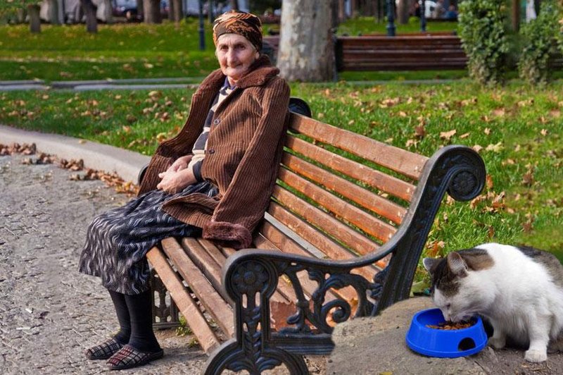 Hudobija ne pozna meja: ker je hranila ulične mačke, so ostarelo gospo grobo kaznovali (foto: Profimedia/fotomontaža)