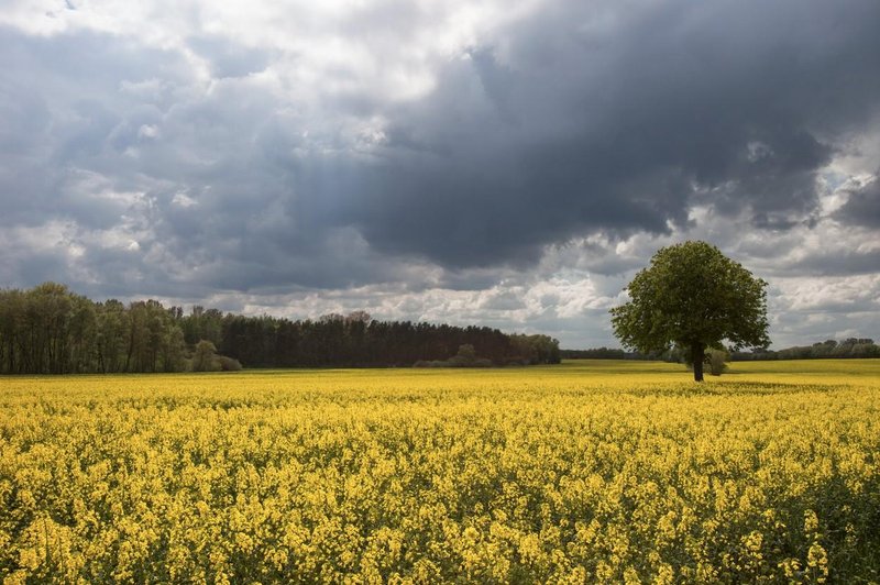 Kakšno vreme nas čaka v začetku aprila? (foto: Profimedia)