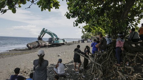 Žalosten prizor na obali indonezijskega Balija (VIDEO)