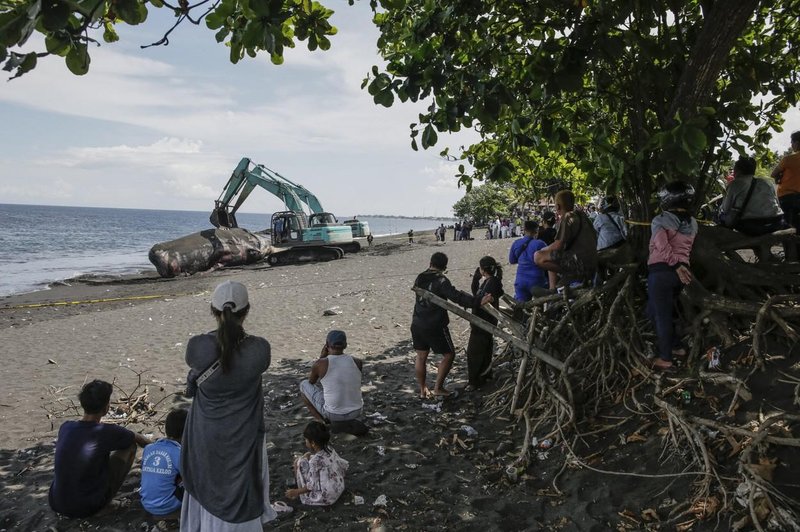 Žalosten prizor na obali indonezijskega Balija (VIDEO) (foto: Profimedia)