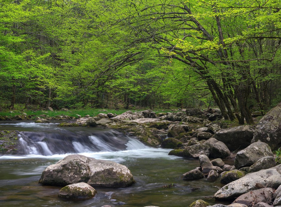 10. Narodni park Great Smoky Mountains, Združene države Amerike To gorovje, imenovano 'Smoky' zaradi vedno prisotne jutranje megle, je svetovno …