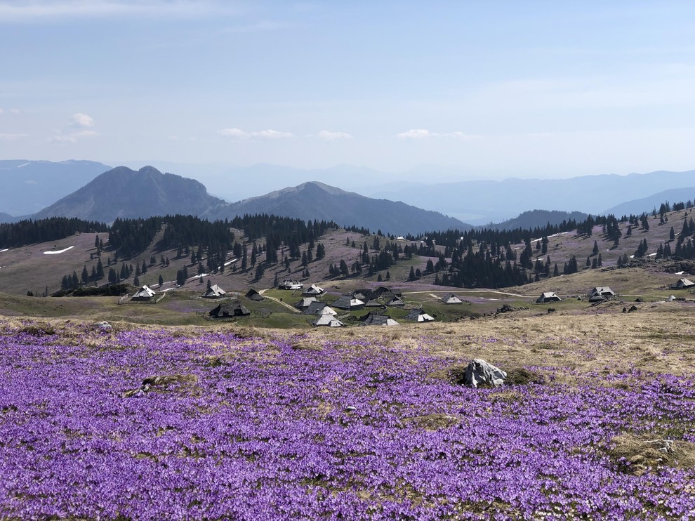 Lahko se povzpnete na najvišji vrh Gradišče, ki meri 1666 m, ali pa do Male in Velike planine. Na Gradišču …