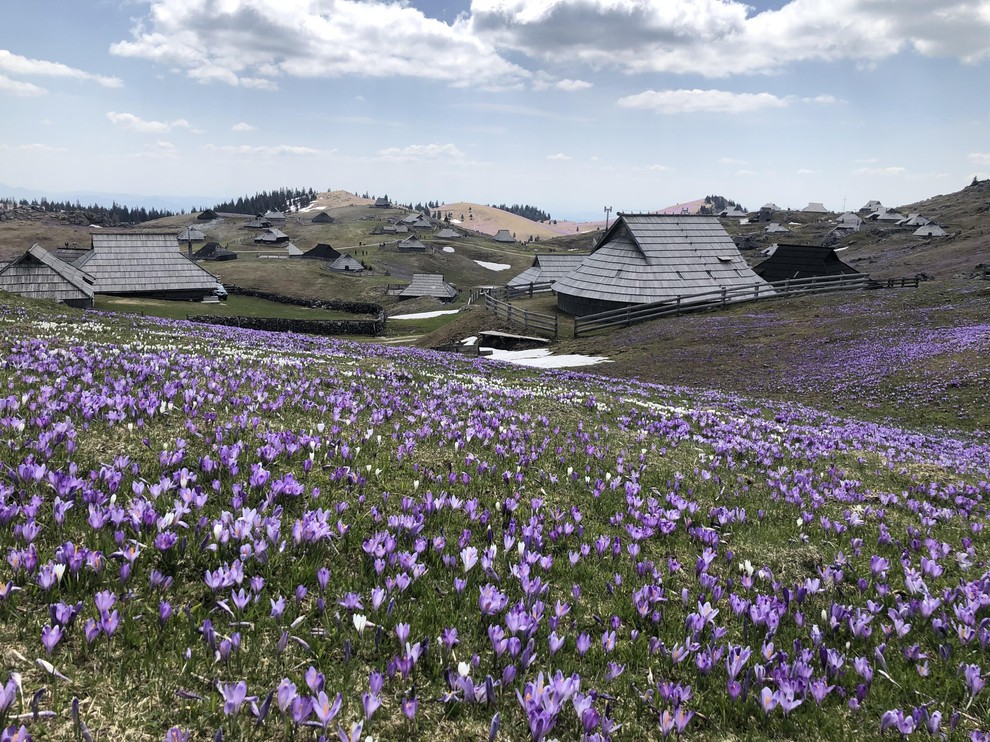 Na Veliko planino imate kar nekaj izhodišč, zato se bo našla primerna pot za vsakogar - začetnika in izkušenega planinca. …