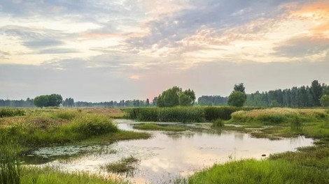 So večja podjetja sploh lahko okolju prijazna?