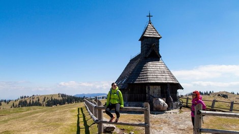 Kaj se je minuli konec tedna dogajalo na Veliki planini: prevelika sproščenost pasjih lastnikov?