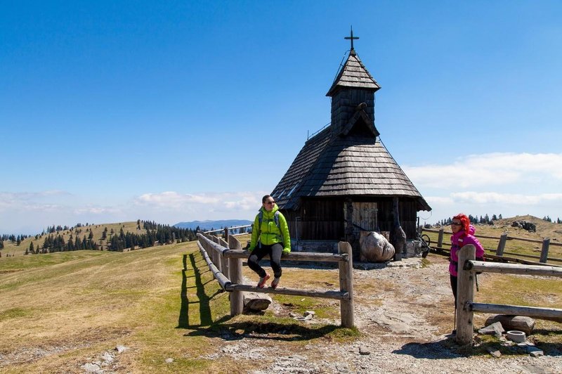 Kaj se je minuli konec tedna dogajalo na Veliki planini: prevelika sproščenost pasjih lastnikov? (foto: Profimedia)