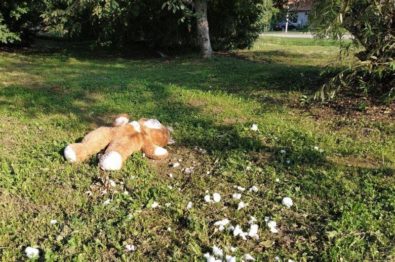 Zločin, ki je pretresel vse: mati za 10 evrov prodala triletno hčerko (nekaj ur kasneje je bila mrtva) (foto: Profimedia)