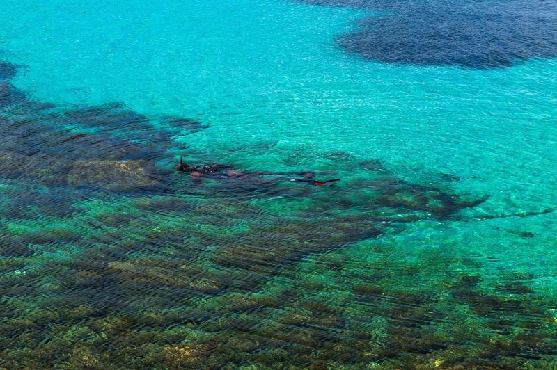 Med ribolovom hrvaški ribiči na Visu naleteli na prizor kot iz sanj (VIDEO) (foto: Profimedia)