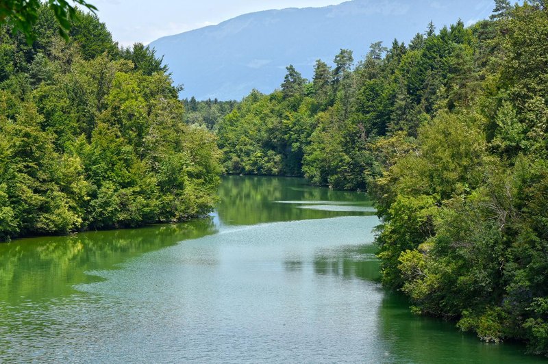 Grozljivo: Ljubljančan v reki opazil negibno osebo (foto: Žiga Živulović j.r./Bobo)