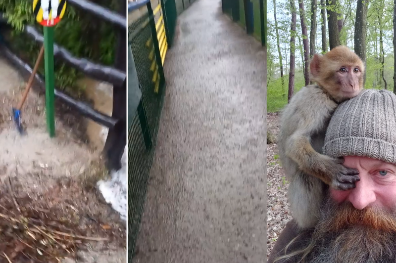 Živalski vrt v Radencih pod vodo: "Gre za centimetre, dežuramo, da preprečimo večjo škodo" (foto: Facebook/Tomi Mitev/fotomontaža)