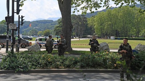 Nove podrobnosti o grozljivem napadu v parku: otroci bežali pred 31-letnim Sircem, policija ga je ustrelila v noge