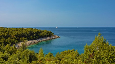 Prepovedano kopanje: morje na priljubljeni plaži v Istri hudo onesnaženo