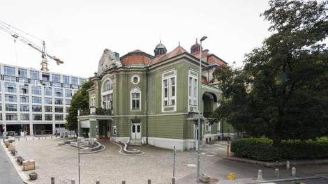 Odločitev, ki je razburila Ljubljančane: že prihodnji mesec bodo v prestolnici porušili veličastno staro drevo (FOTO)