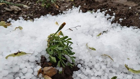 Najhuje je bilo na severovzhodu Slovenije: toča, podrta drevesa, poplavljene hiše ... (FOTO)