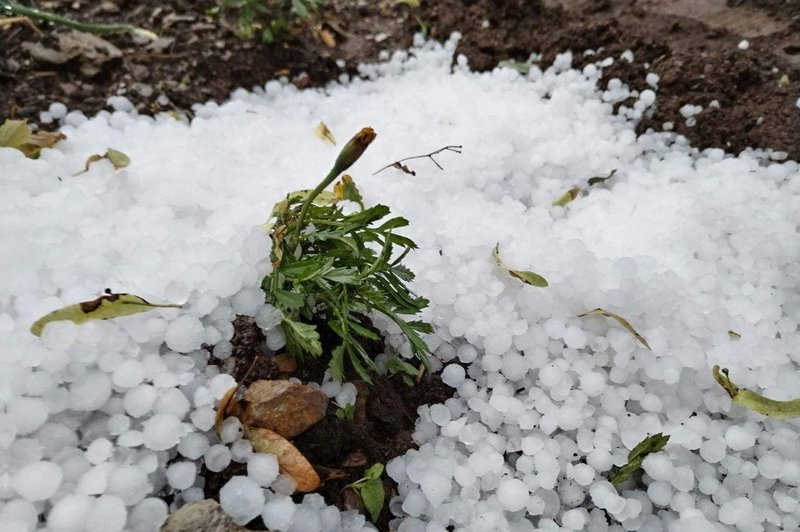 Najhuje je bilo na severovzhodu Slovenije: toča, podrta drevesa, poplavljene hiše ... (FOTO) (foto: Facebook/Neurje.si)