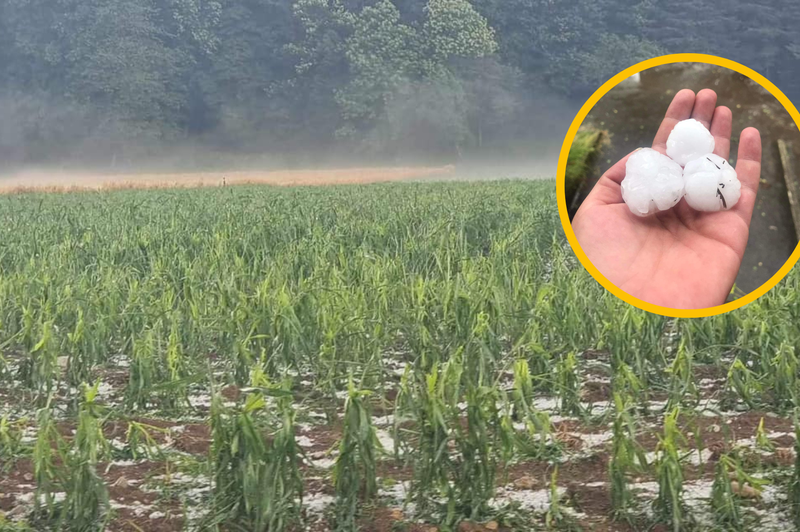 Toča na Gorenjskem popolnoma uničila poljščine: nevihta se že premika na drug del države (FOTO in VIDEO) (foto: Facebook/Neurje.si/fotomontaža)