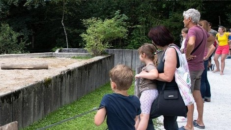 V Ljubljana ZOO se veselijo podmladka: ''Pozdravljen v čredo!'' (VIDEO)