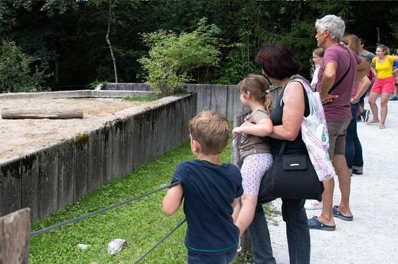 V Ljubljana ZOO se veselijo podmladka: ''Pozdravljen v čredo!'' (VIDEO) (foto: Profimedia)