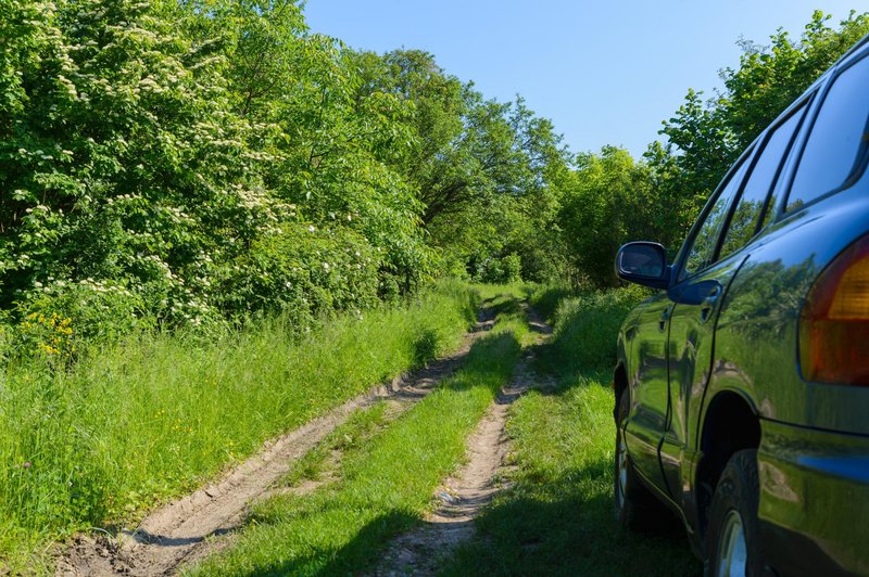 Kranjska policija potrdila tragično smrt: moški je odšel v gozd, iz katerega se ni več vrnil (foto: Profimedia)