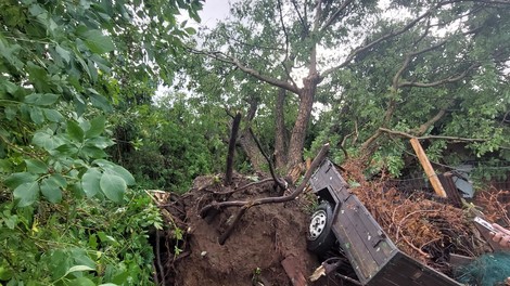 Nočna drama za mlado družino, ki je na črno kampirala pod drevesom (FOTO)