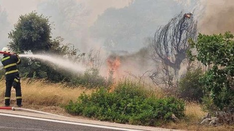 Evakuirali več ljudi, pred požarom v bližini Šibenika bežala tudi slovenska družina