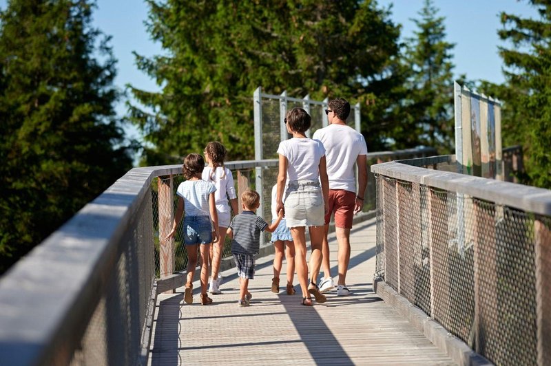 Ste jo že obiskali? Slovenska znamenitost, ki privablja vse več turistov (foto: Facebook/Pot med krošnjami Pohorje)