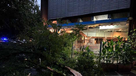 Fotografije razsežnosti neurja v Ljubljani: v Trnovem drevo padlo na vrt gostinskega lokala! (FOTO)