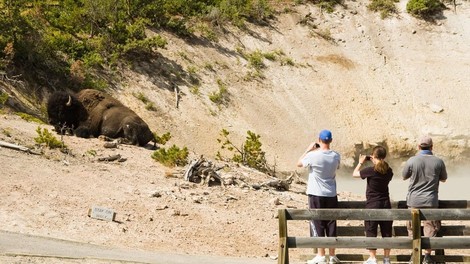 Nenavaden napad v priljubljenem nacionalnem parku: turistko zaradi hudih ran odpeljali s helikopterjem