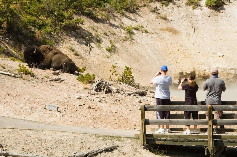 Nenavaden napad v priljubljenem nacionalnem parku: turistko zaradi hudih ran odpeljali s helikopterjem (foto: Profimedia)