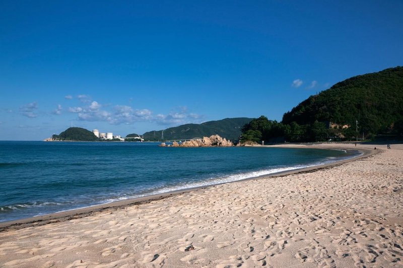 Kaj se dogaja na priljubljeni plaži? Zlomljena rebra plavalcev, ugrizi ... (foto: Profimedia)