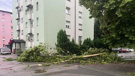 Močno neurje pustošilo po državi: nevihtni veter ruval drevesa, hiše so se tresle, odkrivalo je strehe