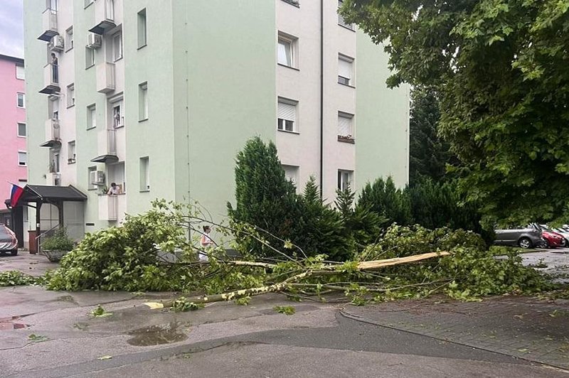 Močno neurje pustošilo po državi: nevihtni veter ruval drevesa, hiše so se tresle, odkrivalo je strehe (foto: Facebook/Neurje.si)