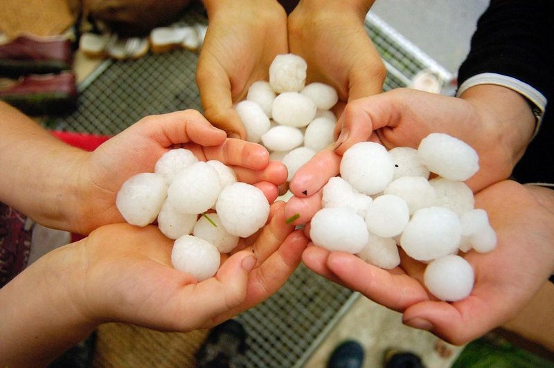 Vse, kar morate vedeti o toči in kako se zaščititi (foto: Profimedia)