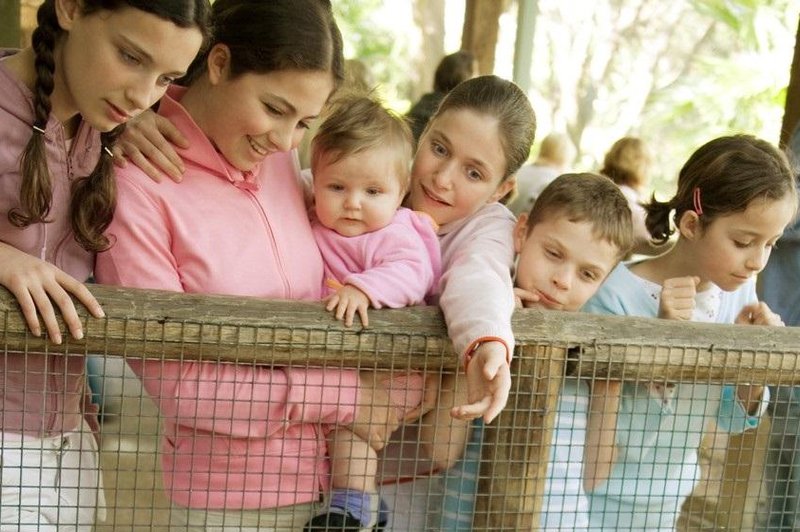 V ZOO Ljubljana se veselijo dveh novih prebivalcev (VIDEO) (foto: Profimedia)