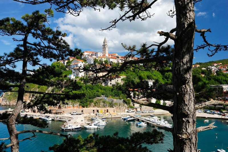 Najstarejši hrast Jadrana: našli ga boste na hrvaškem otoku, ki je priljubljena destinacija Slovencev (foto: profimedia)