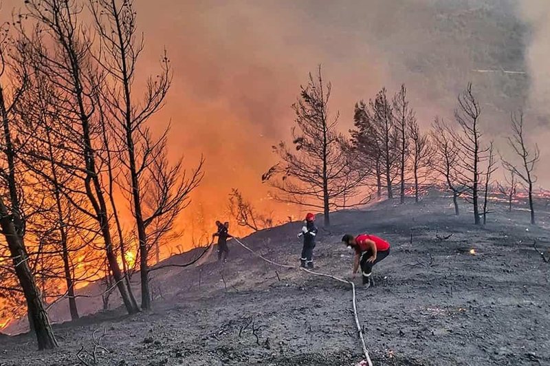 Grčija še vedno v plamenih: več mrtvih, evakuacija tisočih ... (foto: Twitter/greekcitytimes)