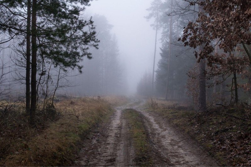 Fotografija je simbolična. (foto: Profimedia)