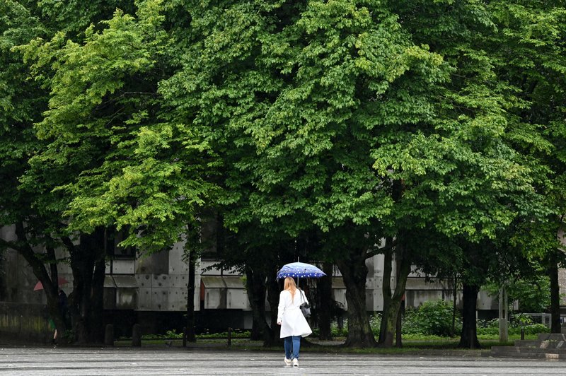 Ljubljančani spet na nogah: "Ne damo drevoreda s 50 zdravimi drevesi!" (foto: Žiga Živulović jr. /Bobo)