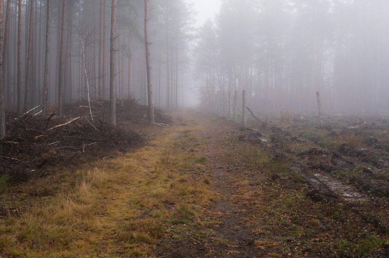 Fotografija je simbolična. (foto: Profimedia)