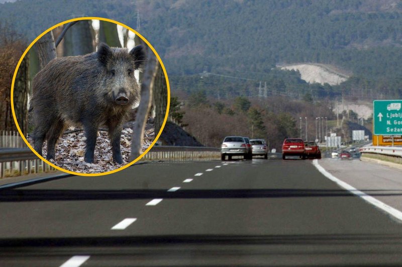 Fotografija je simbolična. (foto: Bobo/Profimedia/fotomontaža)