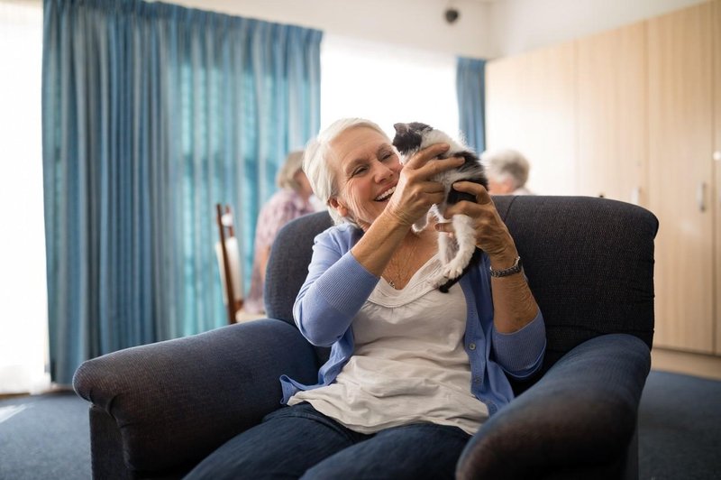 Fotografija je simbolična (foto: Profimedia)