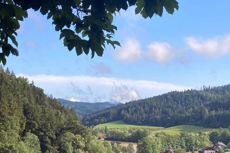 Vabljivi sončni žarki: takšnega vremena si v začetku aprila zagotovo nismo predstavljali (foto: Damjan Herman/Koroškenovice/Bobo)