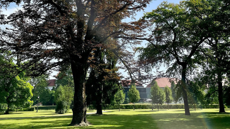 Previdno, če se odpravljate v celjski mestni park: tam lahko naletite na veliko nevarnost (FOTO)