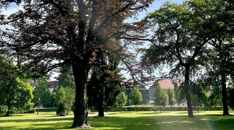 Previdno, če se odpravljate v celjski mestni park: tam lahko naletite na veliko nevarnost (FOTO) (foto: Mestna občina Celje)