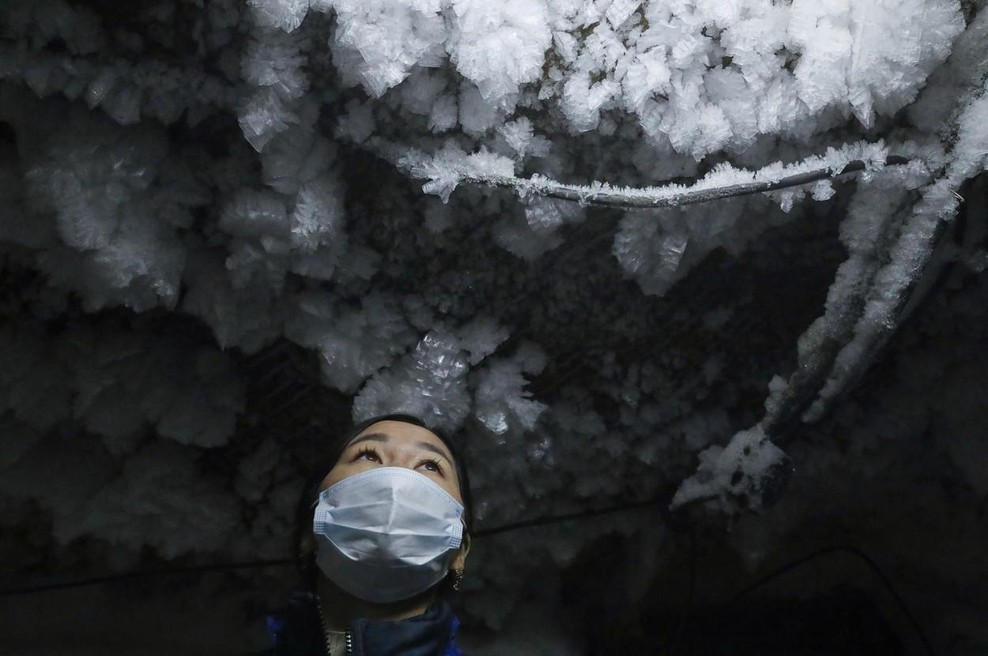 Oživili 46.000 let staro glisto: ali je sibirski permafrost tempirana bomba? (foto: Profimedia)