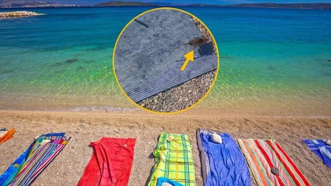 Ko sproščen dan ob morju pokvari ... podgana! Obiskovalci plaže na Jadranu v šoku (VIDEO)