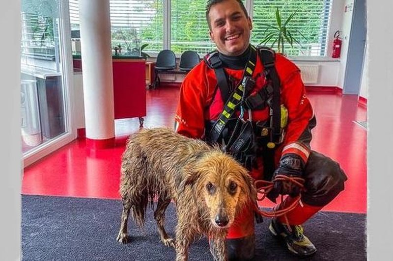 Škofjeloški gasilci poskrbeli za žarek sreče v težkih časih (foto: Gasilska enota Stara Loka/ Facebook)