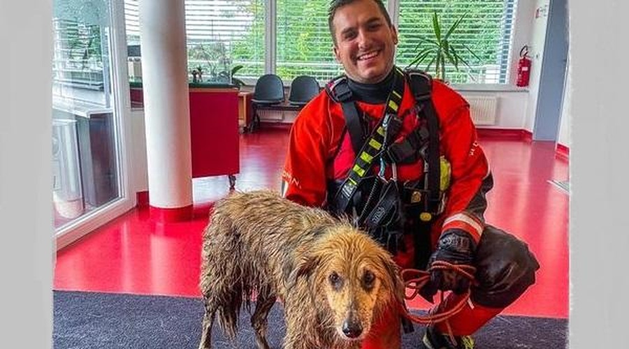 Škofjeloški gasilci poskrbeli za žarek sreče v težkih časih (foto: Gasilska enota Stara Loka/ Facebook)